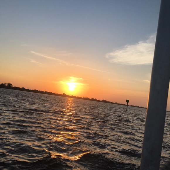 Meet your Posher, Stormy - Picture 1 of 1